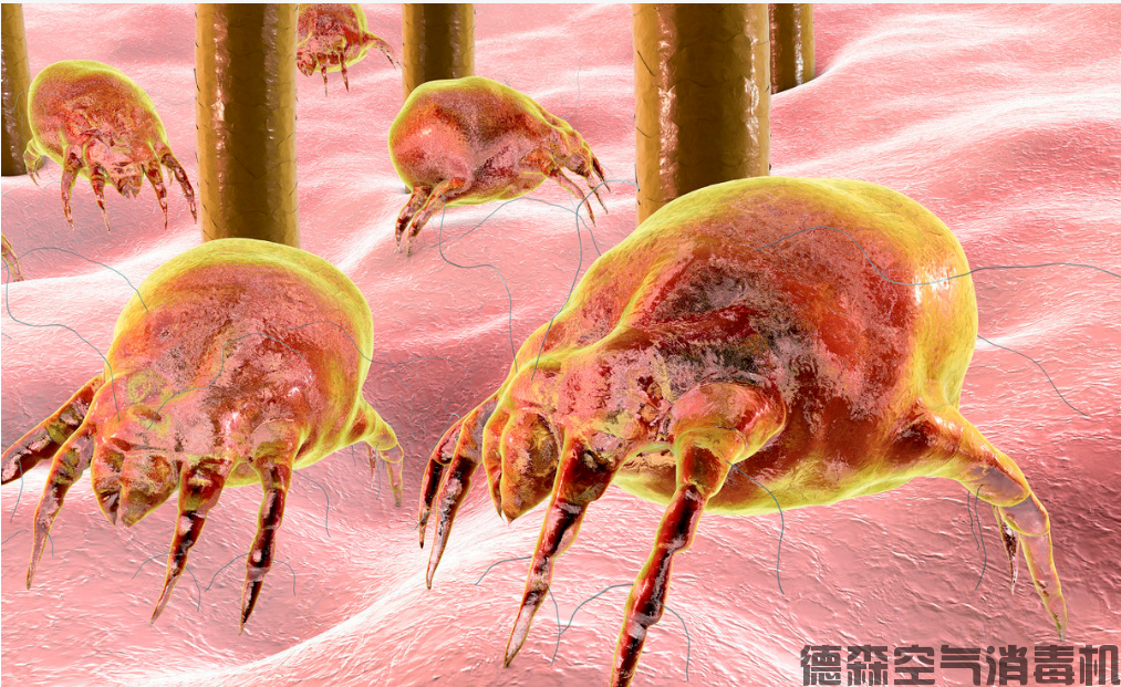 彻底去除被褥螨虫，试试这款床单位消毒机！